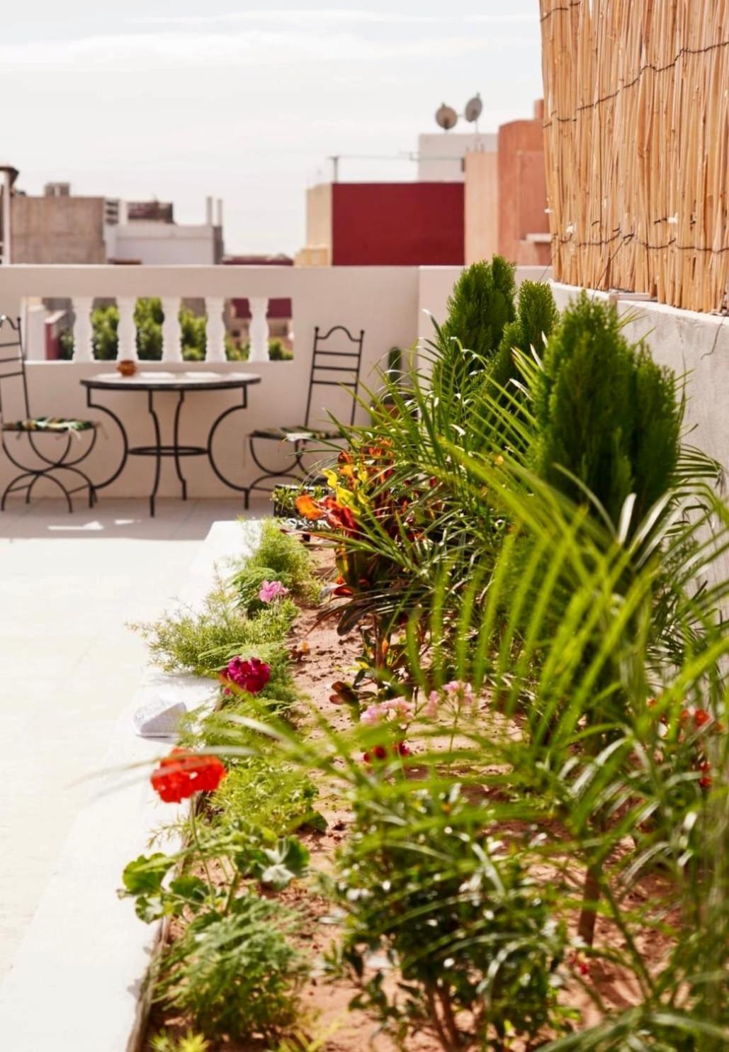 Ocean Surf House Hostel Tamraght Εξωτερικό φωτογραφία
